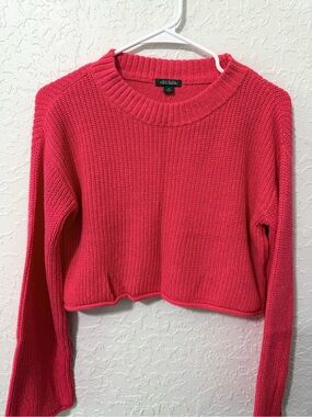 wild fable Hot Pink Ribbed Knit Sweater